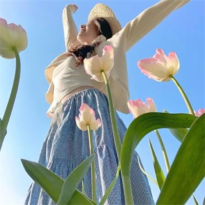 初入职场·机长季
